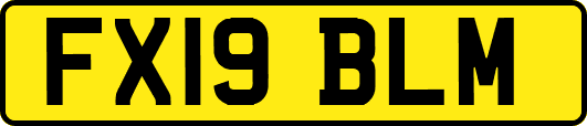 FX19BLM