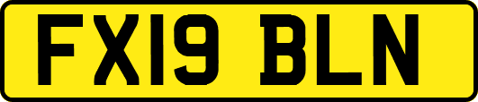 FX19BLN