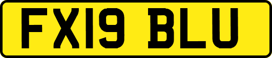 FX19BLU