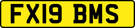 FX19BMS