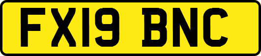 FX19BNC