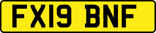 FX19BNF