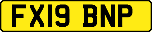 FX19BNP