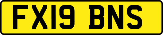 FX19BNS