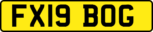 FX19BOG