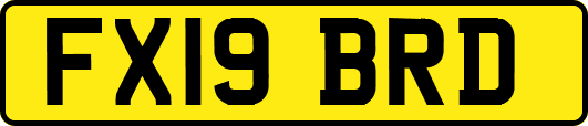 FX19BRD