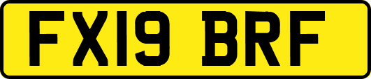 FX19BRF