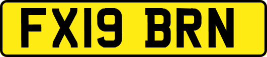 FX19BRN