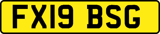 FX19BSG