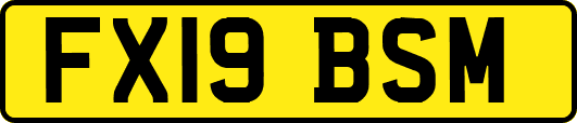 FX19BSM