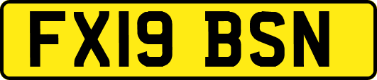 FX19BSN
