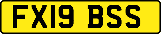 FX19BSS