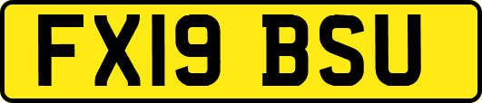 FX19BSU