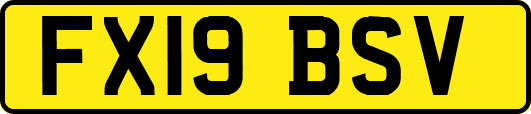 FX19BSV