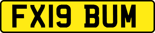 FX19BUM