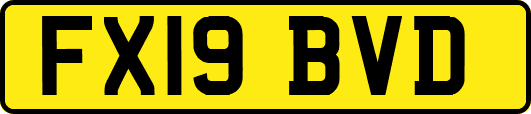 FX19BVD