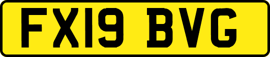 FX19BVG