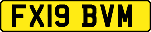 FX19BVM