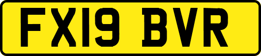 FX19BVR