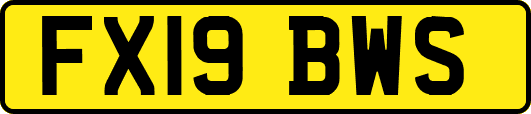 FX19BWS
