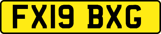 FX19BXG