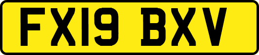 FX19BXV