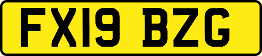 FX19BZG
