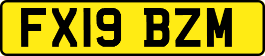 FX19BZM