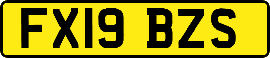 FX19BZS
