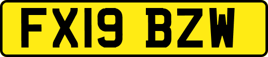 FX19BZW