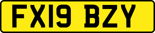 FX19BZY