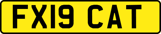 FX19CAT