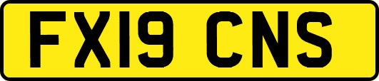 FX19CNS