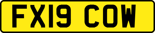 FX19COW