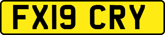 FX19CRY