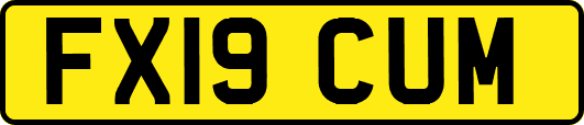 FX19CUM