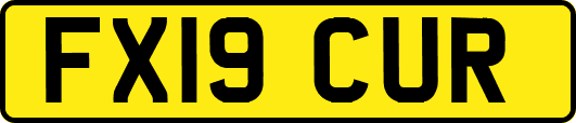 FX19CUR