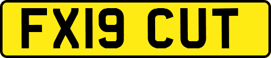 FX19CUT