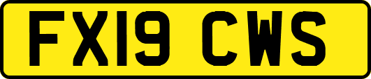 FX19CWS
