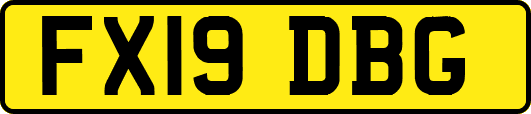 FX19DBG