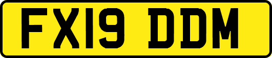 FX19DDM