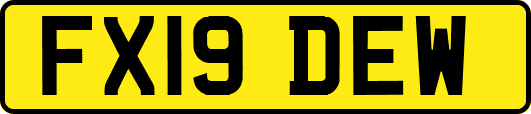 FX19DEW