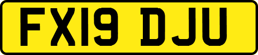 FX19DJU