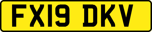 FX19DKV