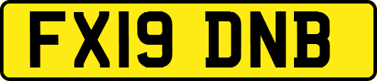 FX19DNB