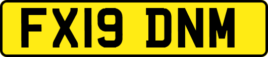 FX19DNM