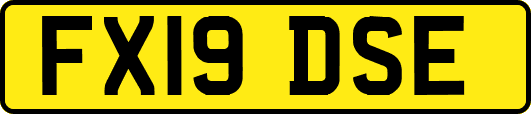 FX19DSE