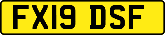 FX19DSF
