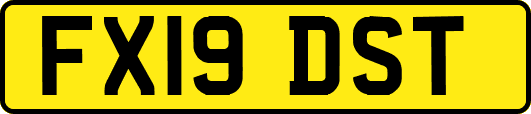 FX19DST