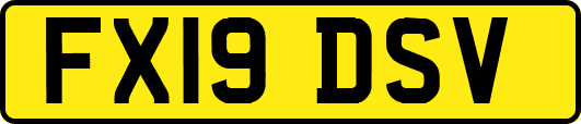 FX19DSV